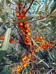 Similar image 21033947