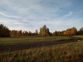 Similar image 21033695