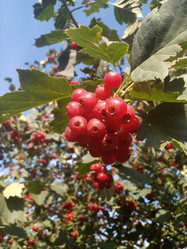 Similar image 21033697