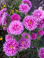 Similar image 21033699