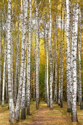 Similar image 21038471