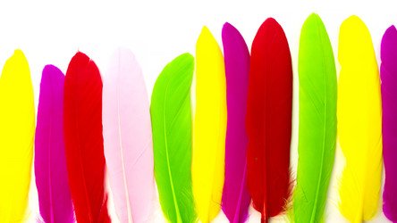 Similar image 21038473