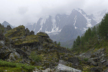 Similar image 21033949