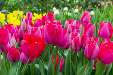 Similar image 21033971