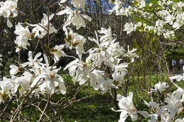 Similar image 21033972