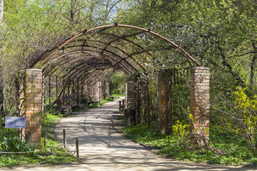 Similar image 21033705