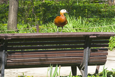 Similar image 21033706