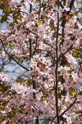 Similar image 21033707