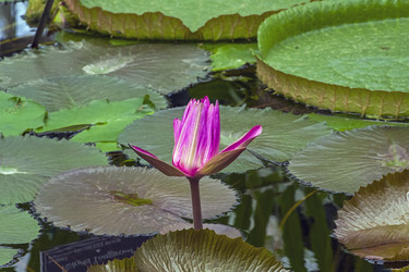 Similar image 21033708