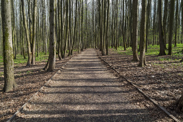 Similar image 21033709