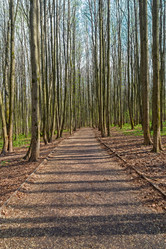 Similar image 21033710