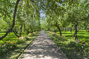 Similar image 21033712