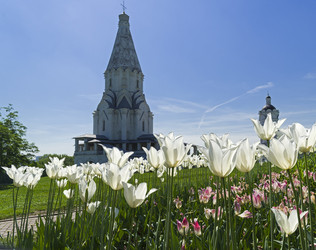 Similar image 21033713