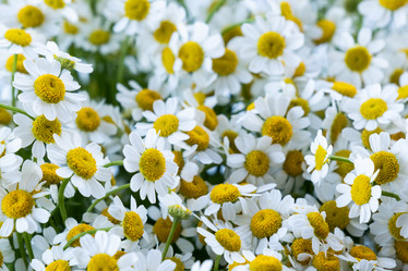 Similar image 21034406