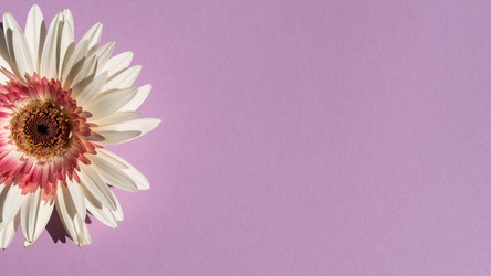 Similar image 21034412