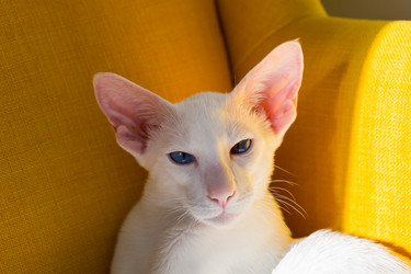 Similar image 21034494