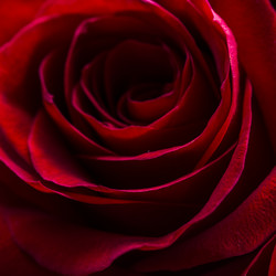 Similar image 21034414