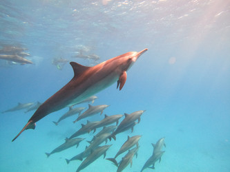 Similar image 21034418