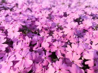 Similar image 21034423