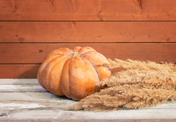 Similar image 21034359