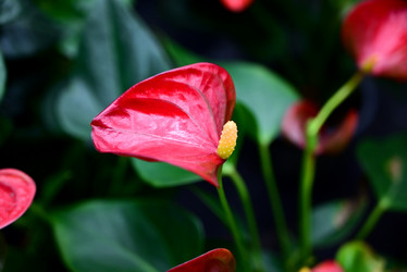 Similar image 21050448