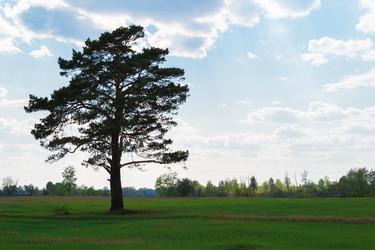 Similar image 21035120