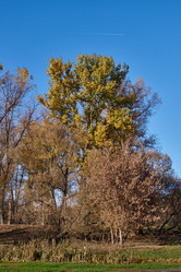 Similar image 21035133