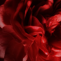 Similar image 21035123