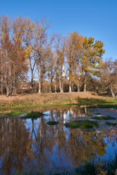 Similar image 21035134