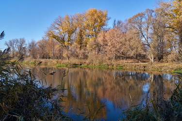 Similar image 21035135