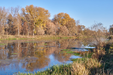 Similar image 21035137