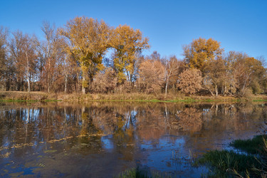 Similar image 21035139