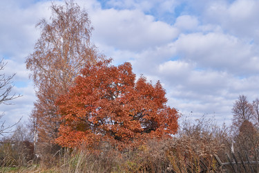 Similar image 21035143