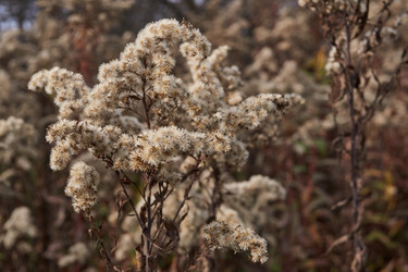 Similar image 21035144