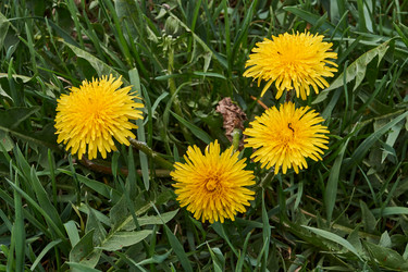 Similar image 21035150