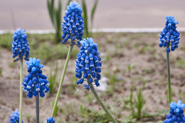 Similar image 21035151