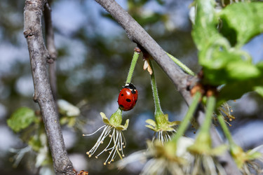 Similar image 21035157