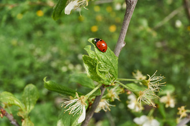 Similar image 21035158