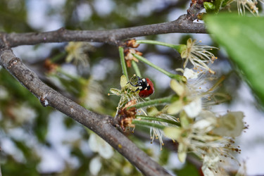 Similar image 21035160