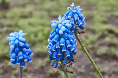 Similar image 21035161