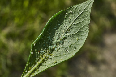 Similar image 21035164