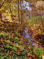 Similar image 21038487