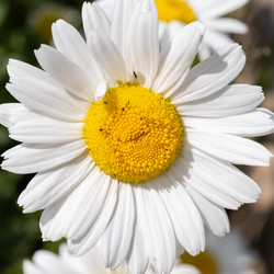 Similar image 21038491