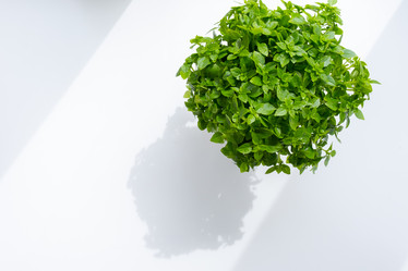 Similar image 21038492