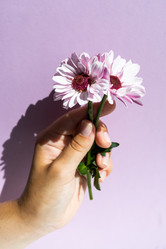 Similar image 21038497