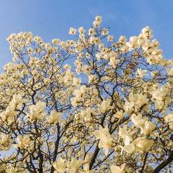 Similar image 21038499