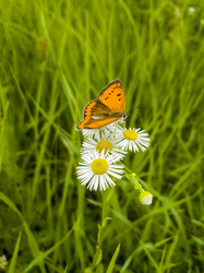 Similar image 21038500