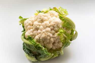 Similar image 21038742