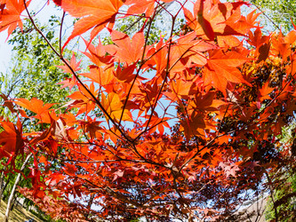 Similar image 21038746