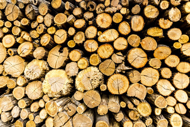 Similar image 21038748